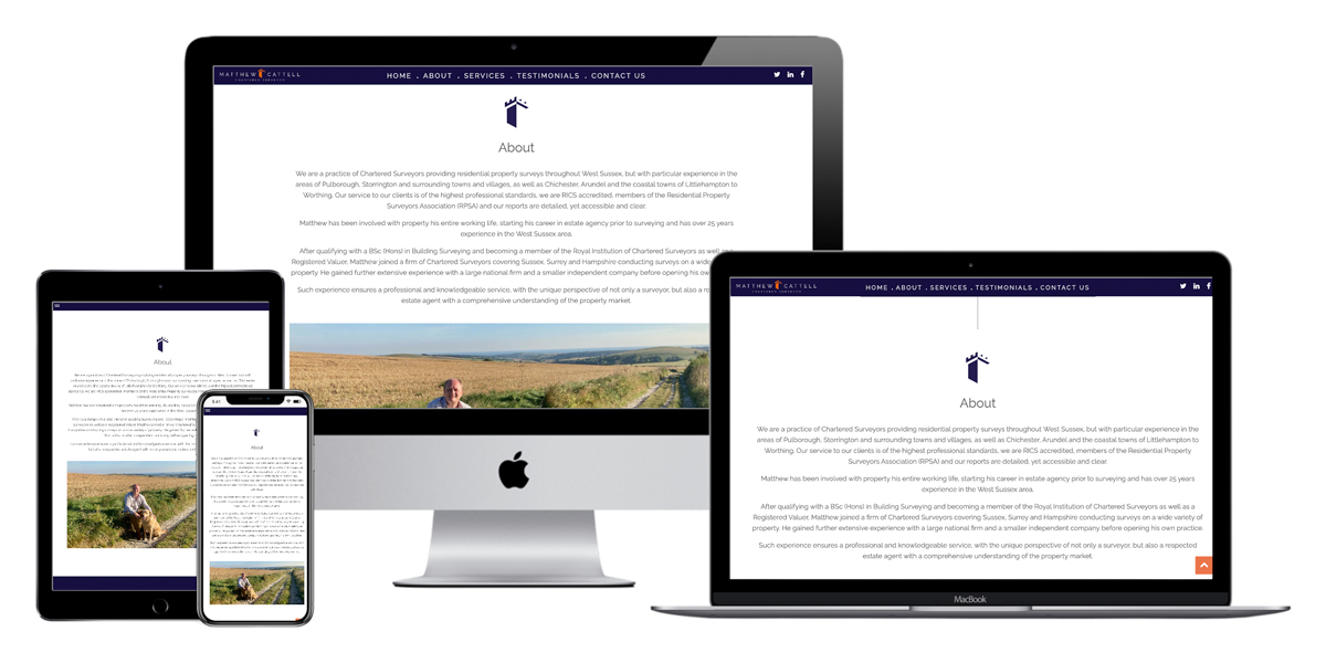 Chartered surveyor website development