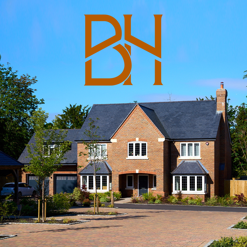 Building developer website design and build