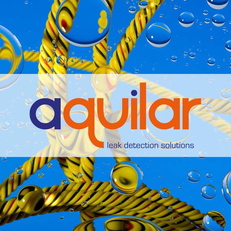 Website design and build from Studio B Creative